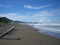 Driftwood on Playa Dominical